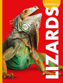 Curious about Lizards cover