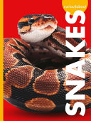 Curious about Snakes cover