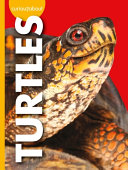 Curious about Turtles cover