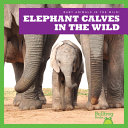 Elephant Calves in the Wild cover