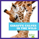 Giraffe Calves in the Wild cover