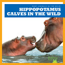 Hippopotamus Calves in the Wild cover