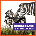Zebra Foals in the Wild cover