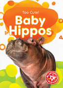 Baby Hippos cover