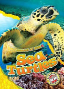 Sea Turtles cover