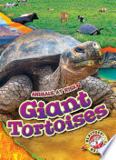 Giant Tortoises cover