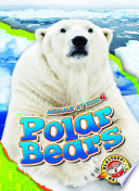 Polar Bears cover