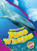 Blue Whales cover