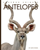 Antelopes (2023 Edition) cover