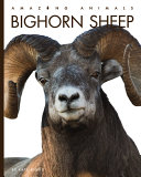 Bighorn Sheep (2023 Edition) cover