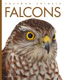 Falcons (2023 Edition) cover