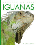 Iguanas (2023 Edition) cover