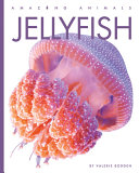 Jellyfish (2023 Edition) cover