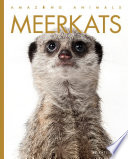 Meerkats (2023 Edition) cover