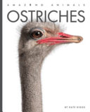 Ostriches (2023 Edition) cover