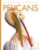 Pelicans (2023 Edition) cover