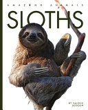 Sloths (2023 Edition) cover