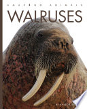 Walruses (2023 Edition) cover