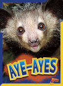 Aye-Ayes cover