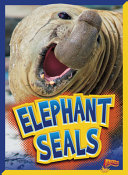 Elephant Seals cover