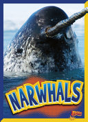 Narwhals cover