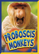 Proboscis Monkeys cover