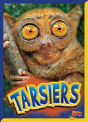 Tarsiers cover