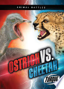 Ostrich vs. Cheetah cover