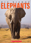 Elephants cover