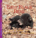 The Adventures of Baby Bear cover