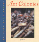 Ant Colonies cover