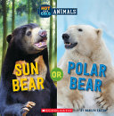 Sun Bear or Polar Bear cover