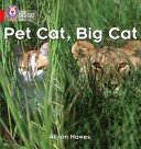Pet Cat, Big Cat cover