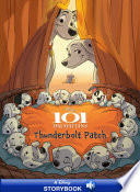 Thunderbolt Patch cover