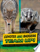 Coyotes and Badgers Team Up! cover
