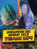Groupers and Moray Eels Team Up! cover