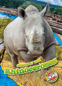 Rhinoceroses cover
