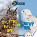 Spotted Eagle-Owl or Snowy Owl cover