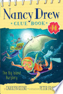 The Big Island Burglary cover