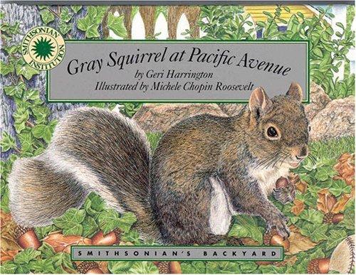 Gray Squirrel at Pacific Avenue cover