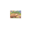 Woodchuck at Blackberry Road cover
