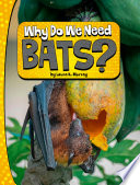 Why Do We Need Bats? cover