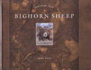 Bighorn Sheep cover