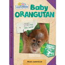 Active Minds Explorers: Baby Orangutan cover