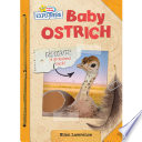 Active Minds Explorers: Baby Ostrich cover