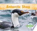 Antarctic Shag cover