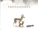 Pronghorns cover