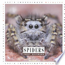 Spiders cover