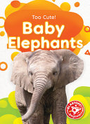 Baby Elephants cover