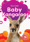 Baby Kangaroos cover